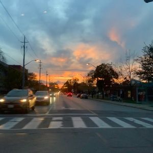 Meet your Posher, Lily